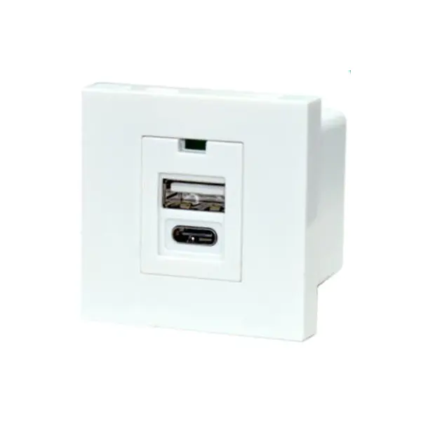 Dobbel port TypeA+C USB-laderkontaktmodul